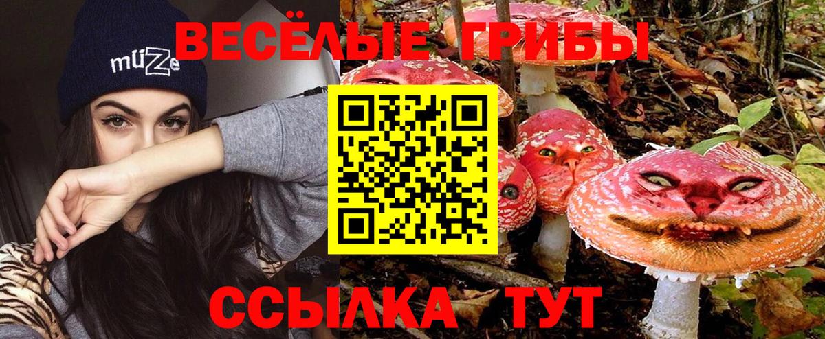 Серов  Галлюциногенные грибы Psilocybine cubensis  Вход с VPN 
